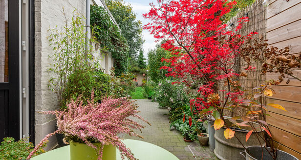 Huis te koop in Aartselaar